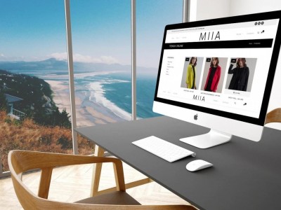 Tienda Virtual para Mayorista de Indumentaria